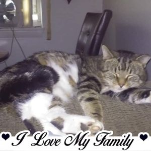 Meet your Posher, Rene